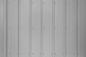 Ash-Gray-MAX-scaled
