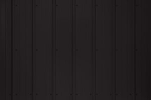 Black-MAX-scaled