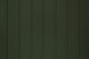 Fern-Green-MAX-scaled